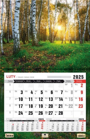 Kalendarz 2025 jednodzielny 3XL Las [KALENDARZ]