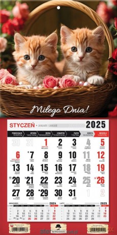 Kalendarz 2025 jednodzielny mini z mag. Kotki [KALENDARZ]
