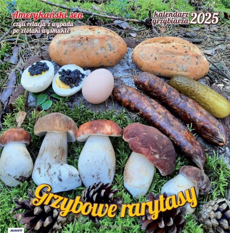 Kalendarz 2025 ścienny albumowy Grzybiarza [KALENDARZ]