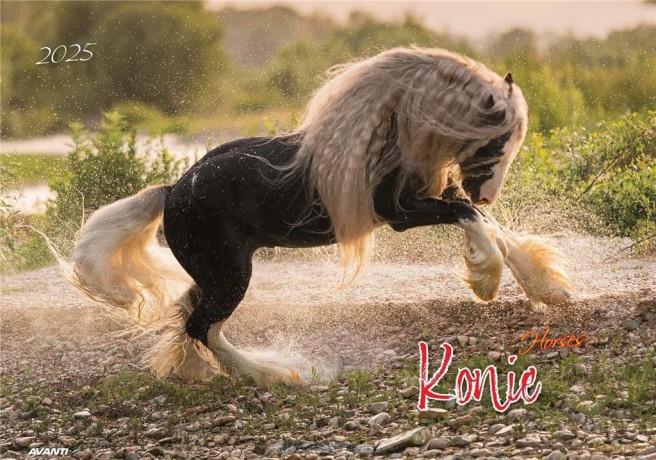 Kalendarz 2025 ścienny albumowy Konie [KALENDARZ]