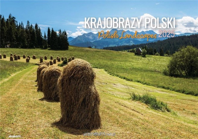 Kalendarz 2025 ścienny albumowy Krajobrazy Polski [KALENDARZ]