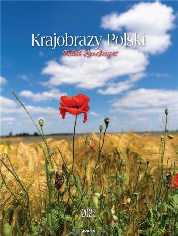 Kalendarz 2025 ścienny Krajobrazy Polski [KALENDARZ]