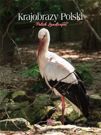 Kalendarz 2025 ścienny Krajobrazy Polski [KALENDARZ]