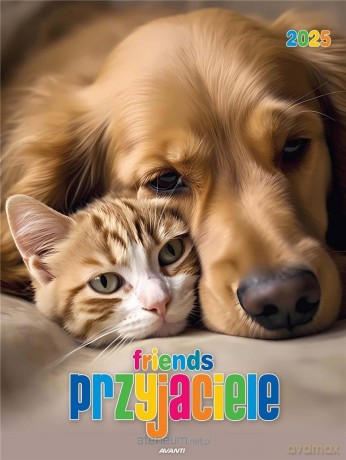 Kalendarz 2025 ścienny Przyjaciele [KALENDARZ]
