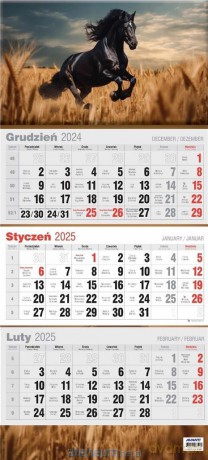 Kalendarz 2025 trójdzielny płaski MIX [KALENDARZ]