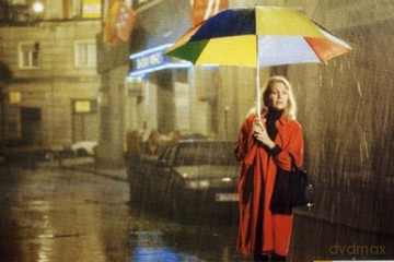 Best of Pedro Almodóvar: Women on the Verge of a Nervous Breakdown, High Heels- A Woman's Weapons, Live Flesh- With Skin and Hair, My Blossoming Secret, All About My Mother, Bad Education, Volver- Return, Pain and Glory [10xBlu-Ray]