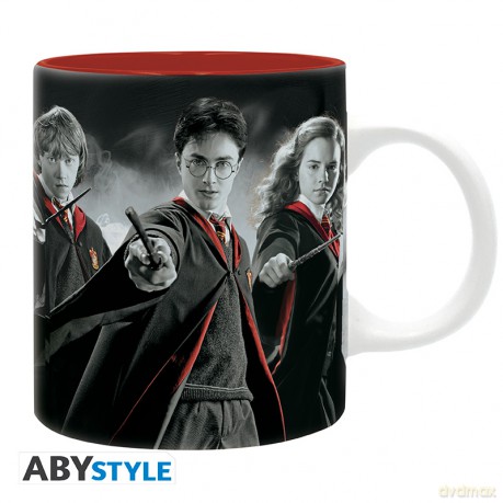HARRY POTTER - Kubek - 320 ml - Trio - subli - With box
