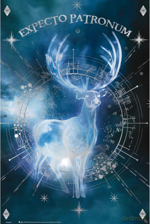 HARRY POTTER - Poster Maxi 91.5x61 Foil - Expecto Patronum