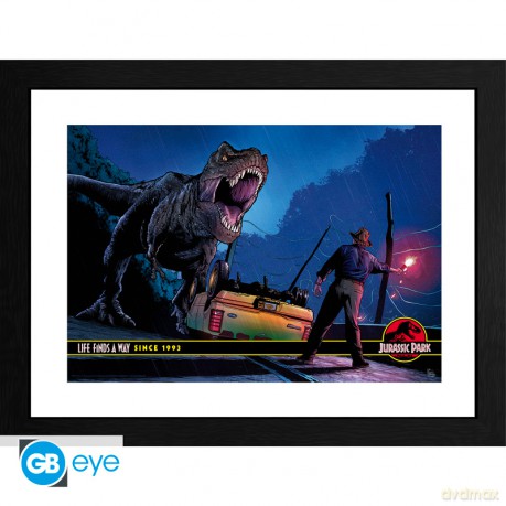 JURASSIC PARK - Plakat w ramie Alan Grant vs T-Rex (30x40)