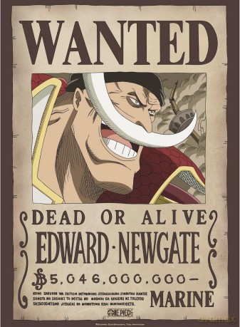 ONE PIECE - Zestaw 2 plakatów Chibi 52x38 - Wanted Roger & Whitebeard