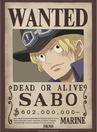 ONE PIECE - Set 2 Posters Chibi 52x38 - Wanted Sabo & Ace