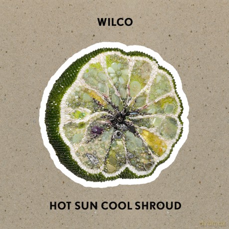 Wilco: Hot Sun Cool Shroud [CD]