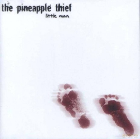 The Pineapple Thief: Little Man (digipack) [CD]