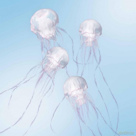 Scandal: Luminous [CD]
