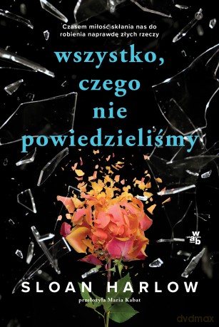 Wszystko, czego nie powiedzieliśmy - Sloan Harlow [KSIĄŻKA]