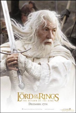 The Lord of the Rings: The Return of the King (Władca Pierścienia: Powrót Króla) (Two Disc Theatrical Edition) [2DVD]