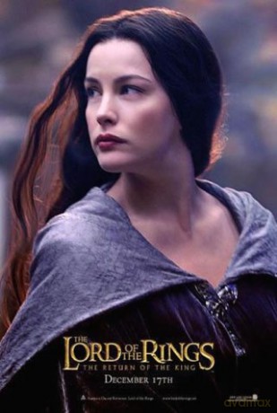 The Lord of the Rings: The Return of the King (Władca Pierścienia: Powrót Króla) (Two Disc Theatrical Edition) [2DVD]