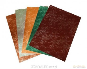 Karton Shining 230g 25x35cm 5 arkuszy MIX