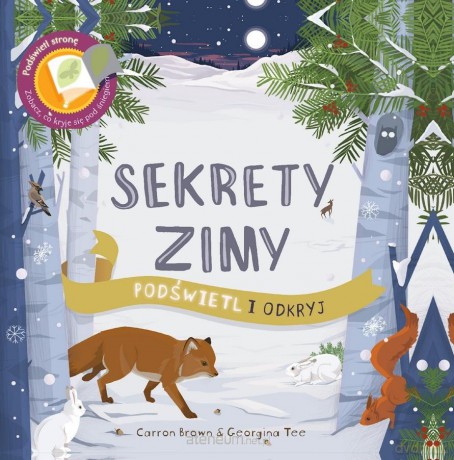 Sekrety Zimy. Podświetl i Odkryj - Carron Brown [KSIĄŻKA]