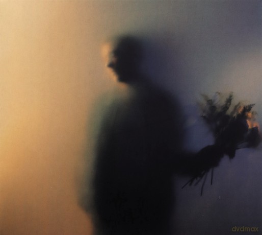 Ben Bohmer: Bloom [CD]