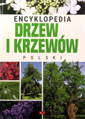 Encyklopedia drzew i krzewów Polski [KSIĄŻKA]