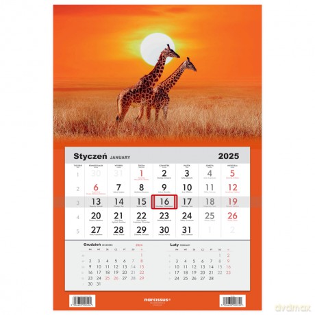 Kalendarz 2025 jednodzielny Żyrafy [KALENDARZ]