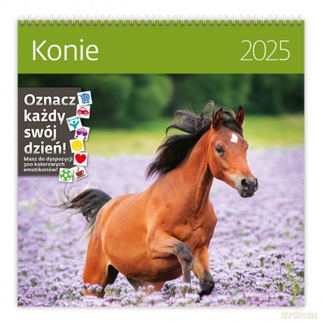 Kalendarz 2025 Konie ścienny [KALENDARZ]