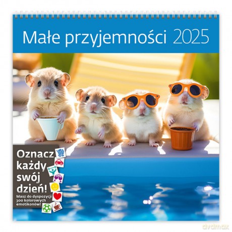 Kalendarz 2025 Małe przyjemności [KALENDARZ]