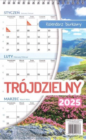 Kalendarz 2025 biurkowy trójdzielny Lux [KALENDARZ]