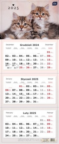 Kalendarz 2025 trójdzielny 82,5x34cm Koty [KALENDARZ]