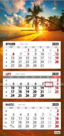 Kalendarz 2025 trójdzielny płaska główka palma [KALENDARZ]