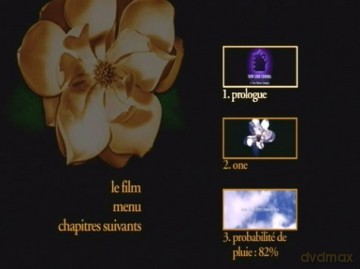 Magnolia [2DVD]