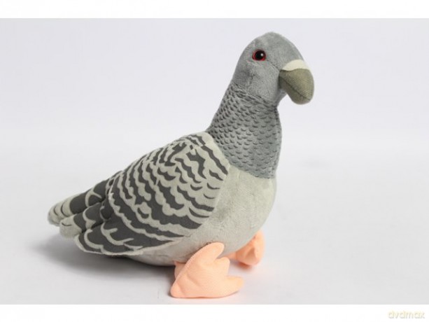 Gołąb pluszowy 22 cm 93776 37765