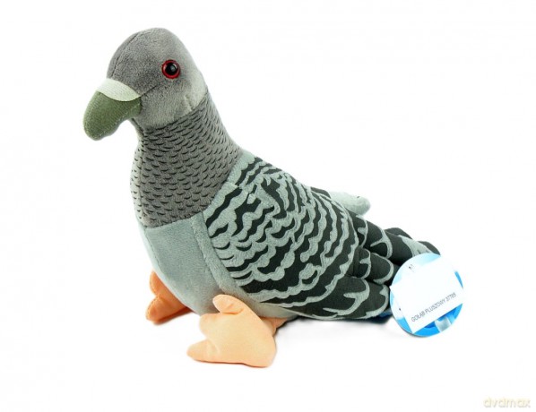 Gołąb pluszowy 22 cm 93776 37765