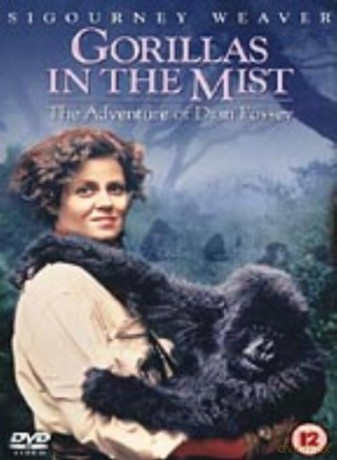 Gorillas In The Mist (Goryle we mgle) [DVD]