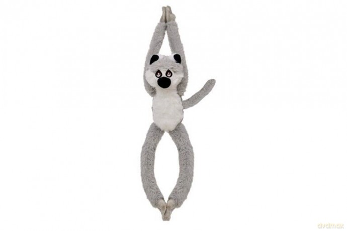 Lemur wiszący 14145 23636