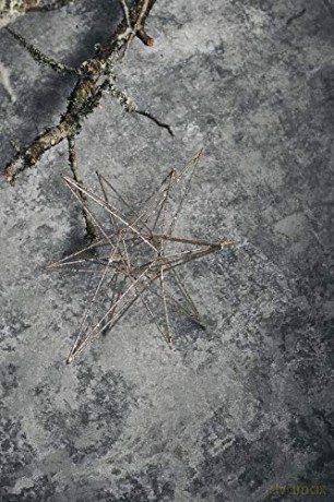 House Doctor - Star Ornament Champagne - 25 cm (261520002)