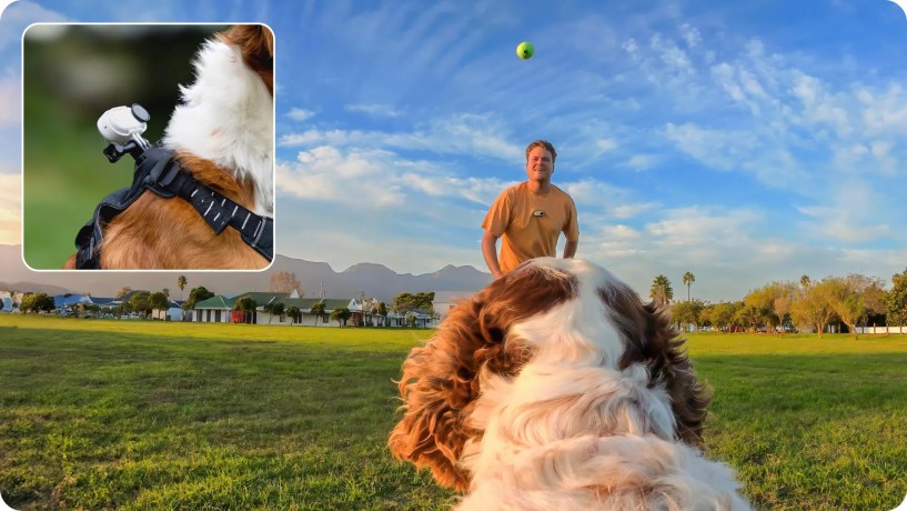 Insta360 - GO 3/GO 3S Pet Harness Mount Size M
