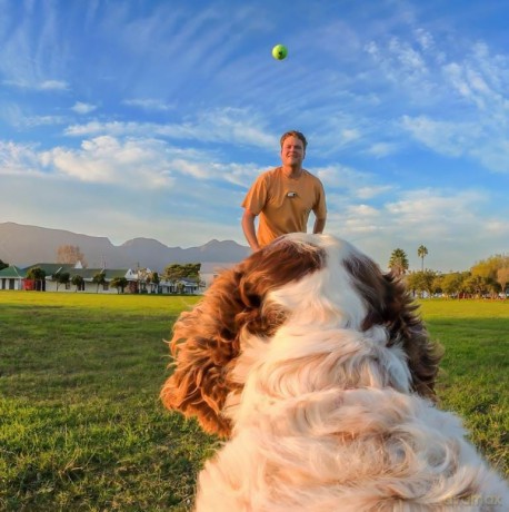 Insta360 - GO 3/GO 3S Pet Harness Mount Size S