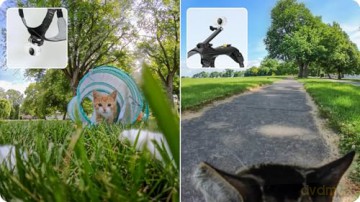 Insta360 - GO 3/GO 3S Pet Harness Mount Size S