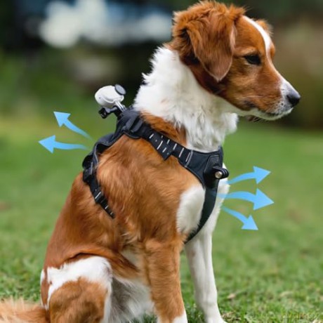 Insta360 - GO 3/GO 3S Pet Harness Mount Size S