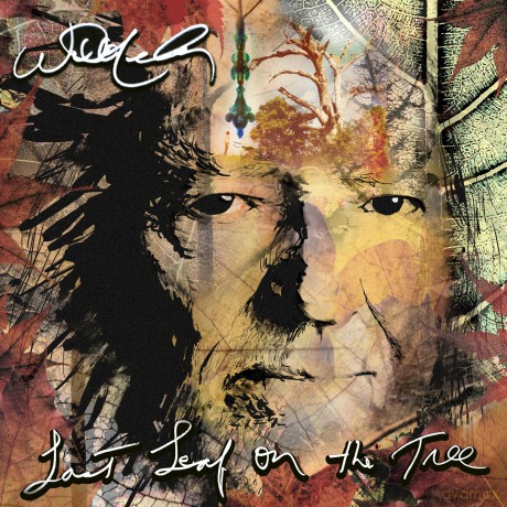 Willie Nelson: Last Leaf On The Tree [2xWinyl]