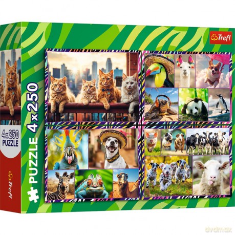 TREFL 4x250 el. Zabawne zwierzaki [PUZZLE]