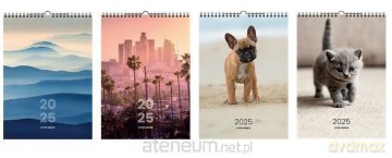 Kalendarz 2025 ścienny A4 mix [KALENDARZ]