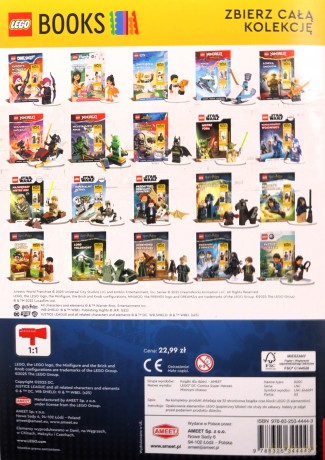 LEGO DC Super Heroes. Mistrzyni chaosu [KSIĄŻKA]