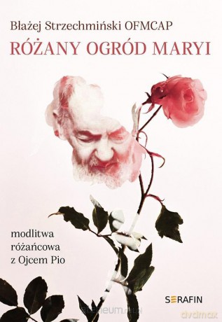 Różany ogród Maryi. Modlitwa różańcowa z Ojcem Pio - Błażej Strzechmiński OFMCap [KSIĄŻKA]