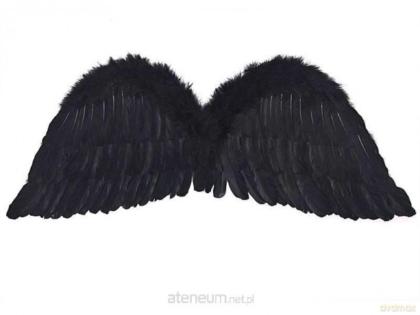 Skrzydła anioła czarny 75x30cm