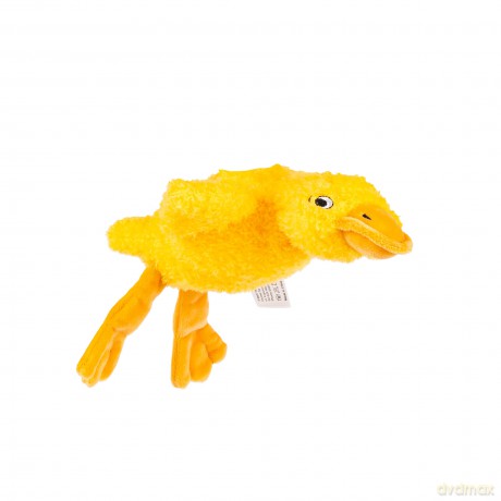 Sensoryczna Gęś Żółta