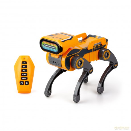 Robo Express