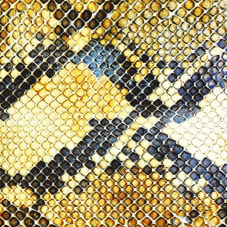 Amazing Snakeheads: Amphetamine Ballads (ecopack) [CD]